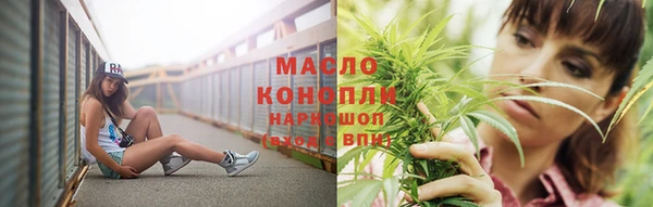 молекула духа Каменск-Шахтинский