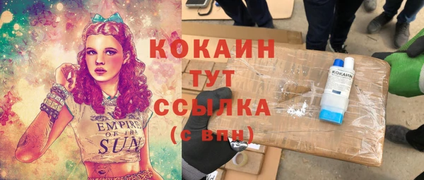 молекула духа Каменск-Шахтинский