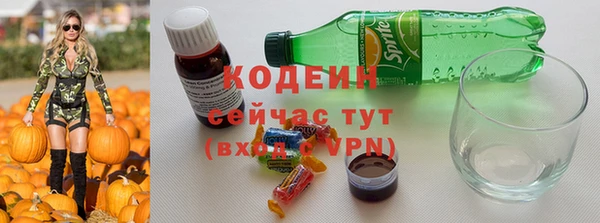 МДПВ Инта