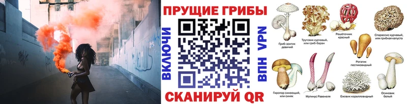 hydra ссылка  Ишимбай  Галлюциногенные грибы Psilocybine cubensis 
