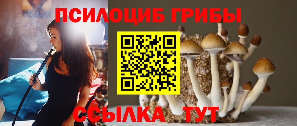 Ишимбай  Галлюциногенные грибы мухоморы  закладки  Вход с VPN 